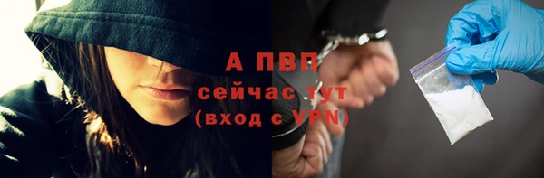 гашик Абаза