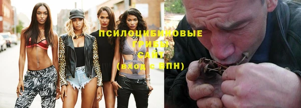 гашик Абаза