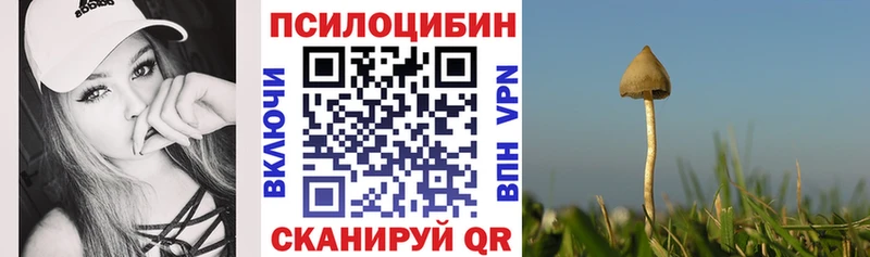 Галлюциногенные грибы ЛСД как найти наркотики Котлас