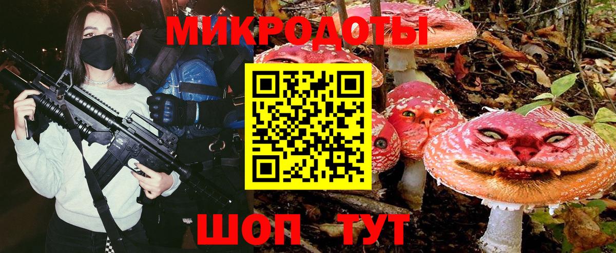 Псилоцибиновые грибы Psilocybe Котлас