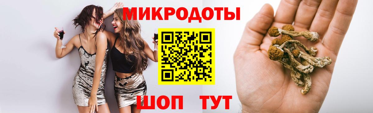 Галлюциногенные грибы Psilocybine cubensis  Вход с VPN  Псилоцибиновые грибы Cubensis  Котлас 
